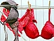 Top 10 des magasins de lingerie en ligne
