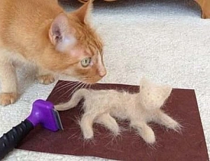 10 meilleurs furminateurs pour chats et chiens