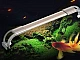 10 meilleures lumières d'aquarium d'Aliexpress