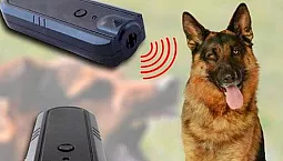 Top 10 des répulsifs pour chiens