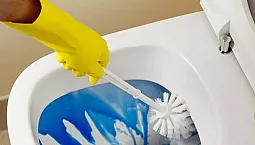15 meilleurs nettoyants pour toilettes