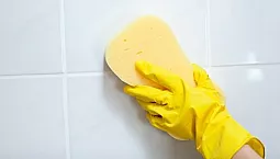 10 meilleurs nettoyeurs de carreaux