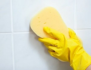 10 meilleurs nettoyeurs de carreaux