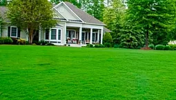 Top 15 des producteurs d'herbe à gazon
