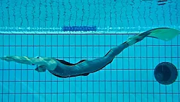 10 meilleures palmes pour la natation et la chasse sous-marine