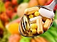 10 meilleurs suppléments d'iode avec iHerb