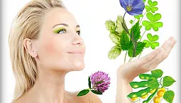 10 meilleurs phytoestrogènes sur iHerb