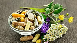 Top 10 des phytoestrogènes