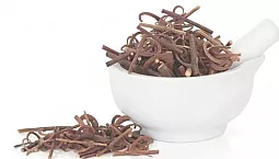 10 meilleurs suppléments de griffe de chat sur iHerb