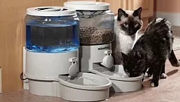 10 meilleures mangeoires automatiques pour chats et chiens