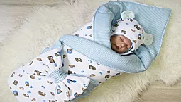 10 meilleurs sacs pour bébé