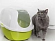 5 meilleurs bacs à litière d'intérieur pour chats