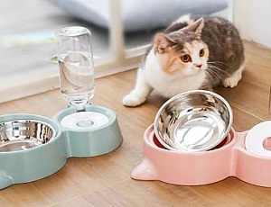 10 meilleurs abreuvoirs automatiques pour chats et chiens d'AliExpress