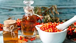 5 meilleurs producteurs d'huile d'argousier