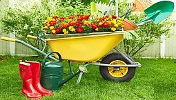 10 meilleures brouettes de jardin et de construction
