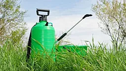 15 meilleurs pulvérisateurs de jardin