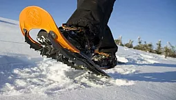Top 5 des raquettes à neige