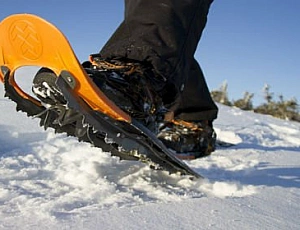 Top 5 des raquettes à neige