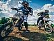 10 meilleurs pit bikes