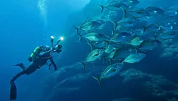 10 meilleures lumières sous-marines