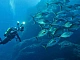 10 meilleures lumières sous-marines