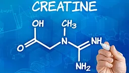 Top 10 des suppléments de créatine