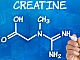 Top 10 des suppléments de créatine