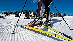 Top 10 des magasins de ski en ligne