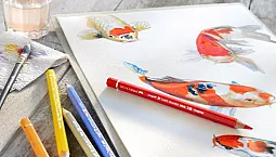 15 meilleurs ensembles de crayons aquarelle