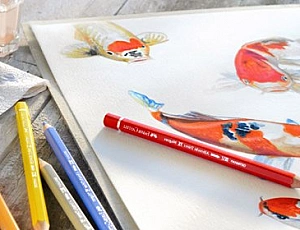 15 meilleurs ensembles de crayons aquarelle