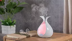 5 meilleurs humidificateurs à vapeur