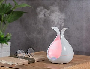 5 meilleurs humidificateurs à vapeur