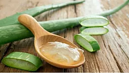 10 meilleurs gels d'aloès