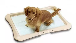 Top 5 des fabricants de couches pour chiens