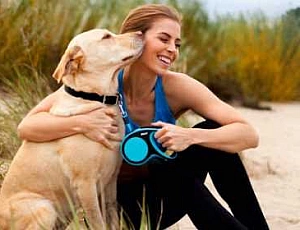10 meilleures marques de ruban adhésif pour chien