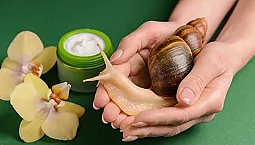 10 meilleures crèmes d'escargot
