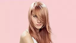 5 meilleurs shampooings Estel