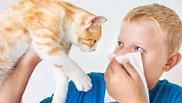 10 meilleurs antihistaminiques pour les enfants