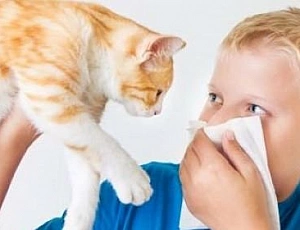 10 meilleurs antihistaminiques pour les enfants