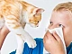 10 meilleurs antihistaminiques pour les enfants