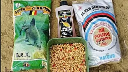 10 meilleurs appâts pour la brème