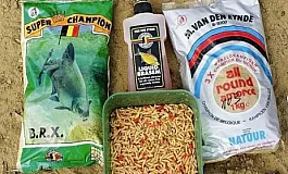 10 meilleurs appâts pour la brème