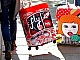 Les 10 meilleures housses de valise sur AliExpress