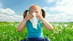 10 meilleurs sprays nasaux contre les allergies