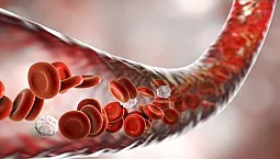 20 meilleurs médicaments pour les vaisseaux sanguins sur iHerb