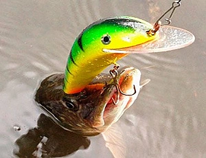 10 meilleurs wobblers pour le brochet d'Aliexpress