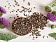 10 meilleurs suppléments de chardon-Marie sur iHerb