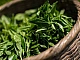 15 meilleurs produits de thé vert sur iHerb