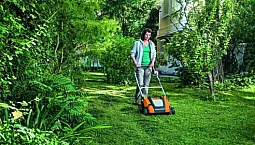10 meilleurs verticutters