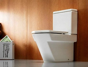 15 meilleures toilettes au sol